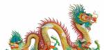 Chinese Dragon House