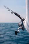 Fishcare Tasmania